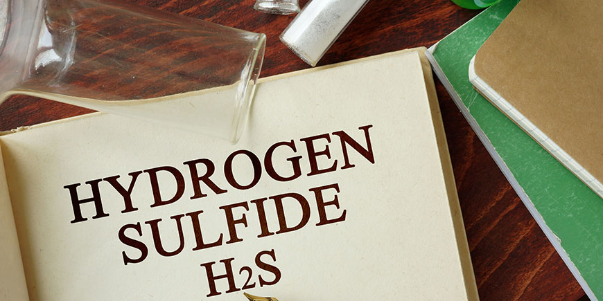 Hydrogen Sulfide Advanced training